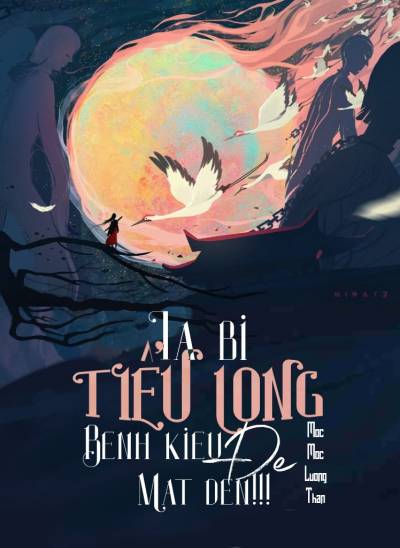 Ta Bị Tiểu Long Bệnh Kiều Để Mắt Đến!!!