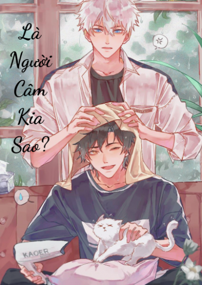 Là Người Câm Kia Sao?