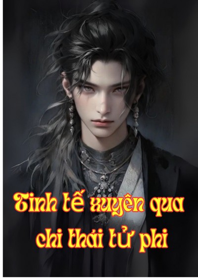 Xuyên Qua Tế Chi Thái Tử Phi
