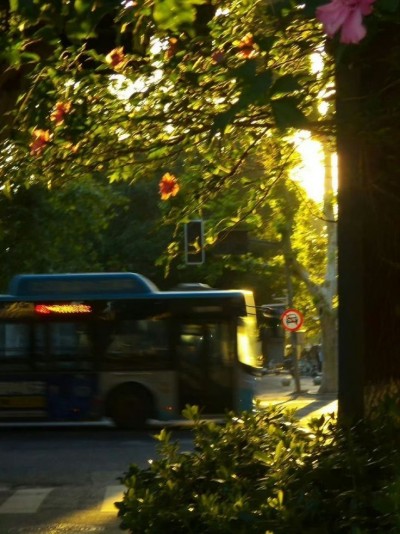 Sau Những Trang Giấy