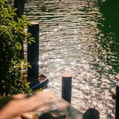Ở Niên Đại Văn Bảo Vệ Sự Tồn Tại Của Nam Chính