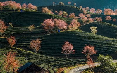 Tứ Hợp Viện: Bắt Đầu Khống Chế Hệ Thống Sinh Tử